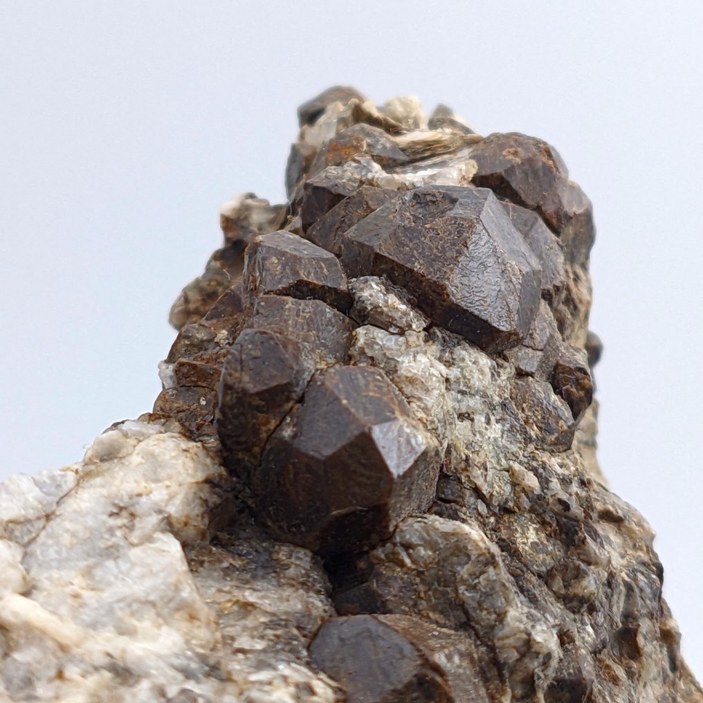 Αλμαντίνο, κόκκινο γρανάτης με Μουσκοβίτη, Ιταλία. Κρύσταλλοι στη μήτρα - Ύψος: 91 mm - Πλάτος: 87 mm- 441 g - (1) #1.0