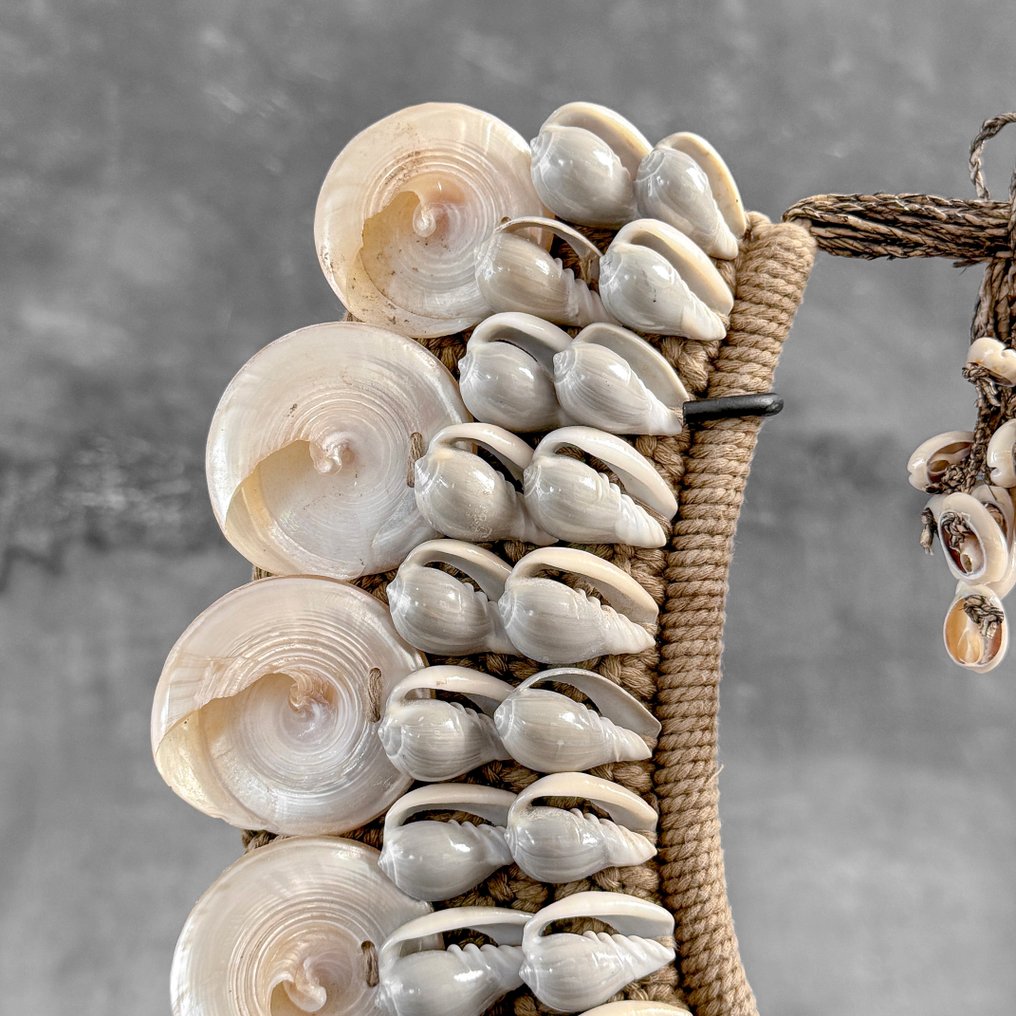 Decorative ornament - NO RESERVE PRICE - SN21 - Decorative shell necklace on a custom stand - Iatmul style - Papua New Guinea #4.3