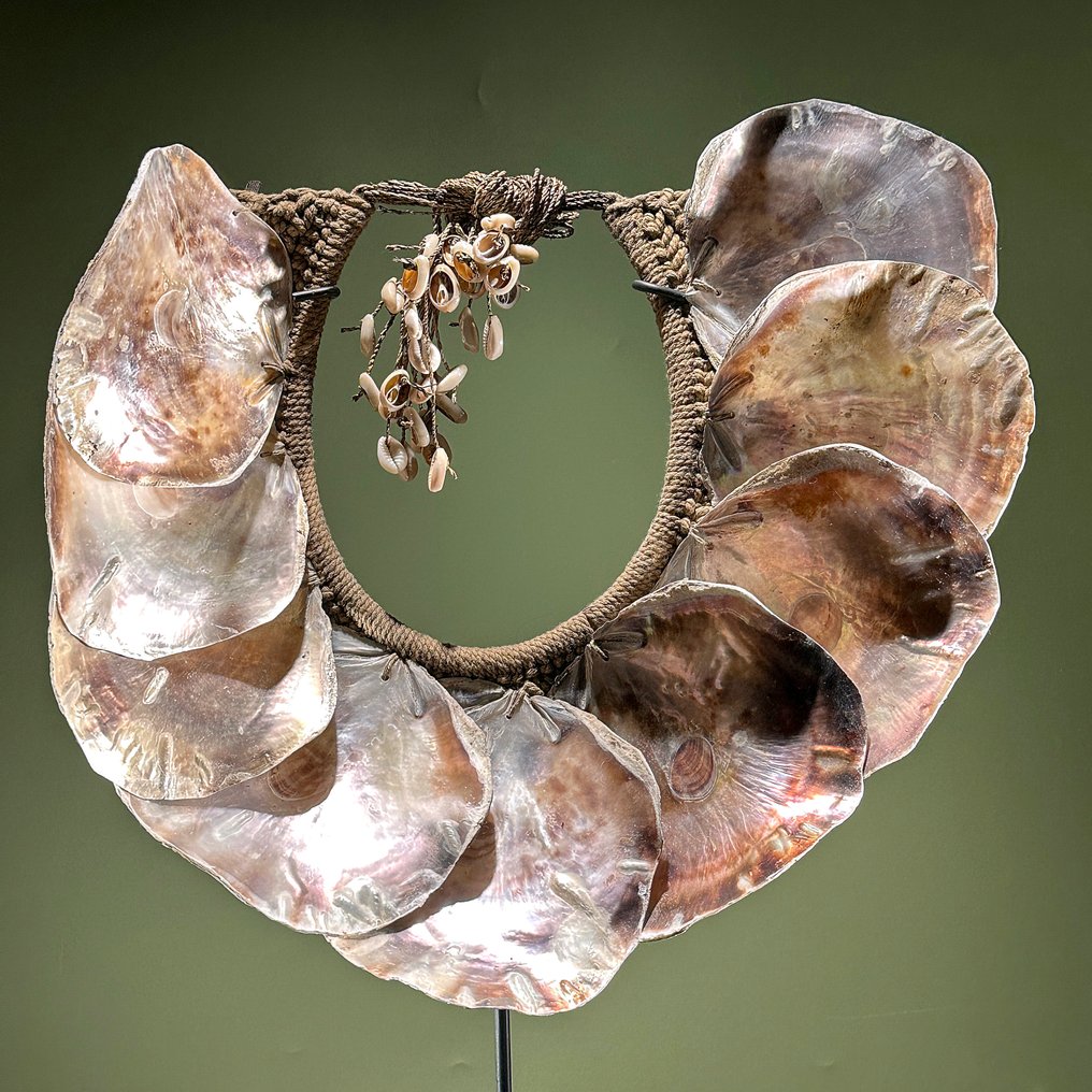 Ornament decorativ - NO RESERVE PRICE - SN10 - Decorative Shell Necklace on a custom stand - Indonezia #3.2