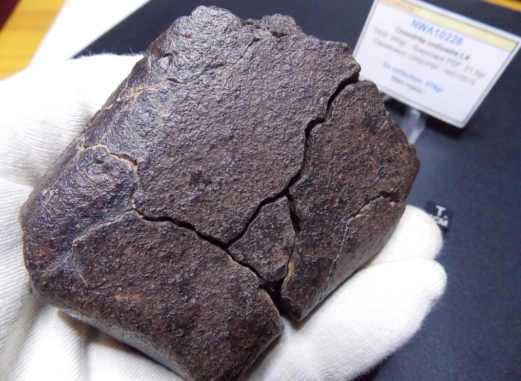 NWA10226 - Meteorite condrite L4 - Massa principale! - Altezza: 100 mm - Larghezza: 85 mm - 576 g - (1) #4.3