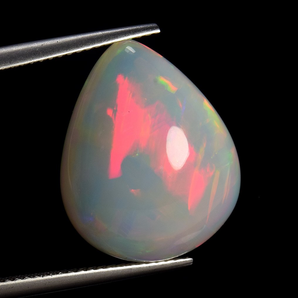 1 pcs 白色, 多色 蛋白石 - 11.67 ct - 国际有色宝石协会(ICA GemLab) - 变色效果 #1.0