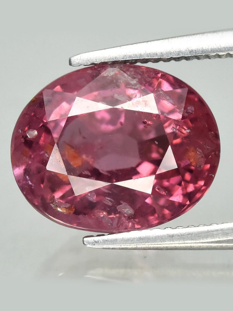 χωρίς τιμή ασφαλείας - 1 pcs Ροζ Σπινέλιος - 3.32 ct - Antwerp Laboratory for Gemstone Testing (ALGT) #1.0