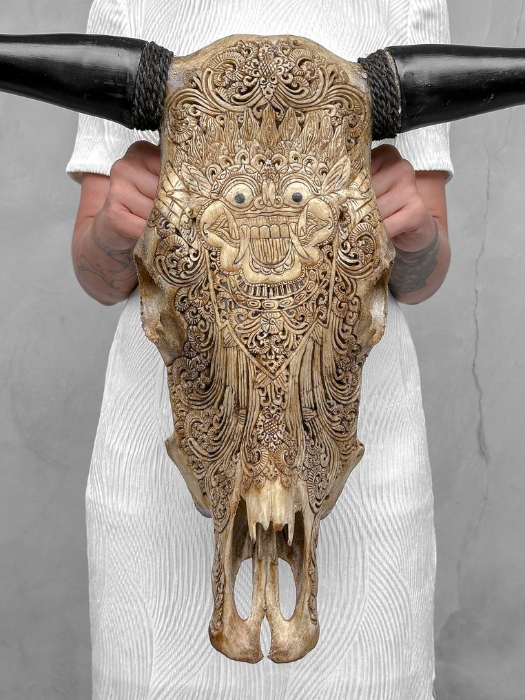 NO RESERVE PRICE - Large Brown Carved Bull Skull - Barong motif - Carved skull - Bos Taurus - 51 cm - 66 cm - 20 cm- Non-CITES species #1.0