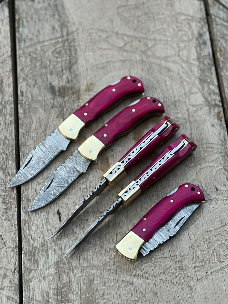 厨刀 - Kitchen knife set -  折叠刀、精美复古餐刀及收藏刀 - 不锈钢刀，Pakka木，黄铜护背，锻钢 - 法国 - 定制手工 #1.0