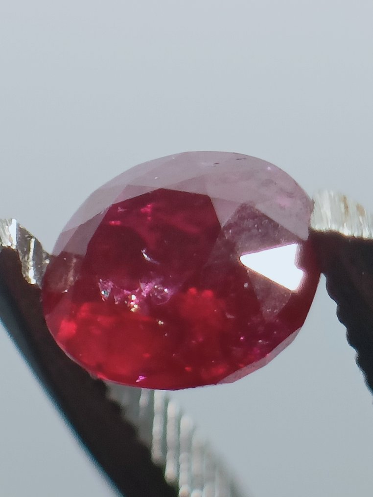 Ohne mindestpreis - 1 pcs  Rot Rubin  - 1.24 ct - Lotus Gemology #4.3