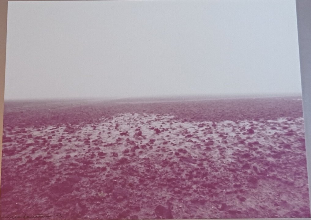 Franco Fontana - Senza Titolo #1.0