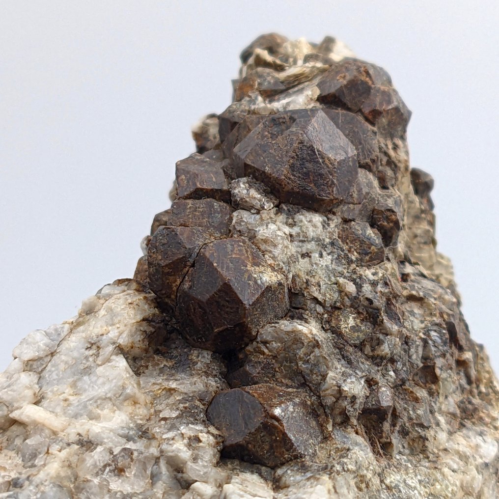 Αλμαντίνο, κόκκινο γρανάτης με Μουσκοβίτη, Ιταλία. Κρύσταλλοι στη μήτρα - Ύψος: 91 mm - Πλάτος: 87 mm- 441 g - (1) #2.1