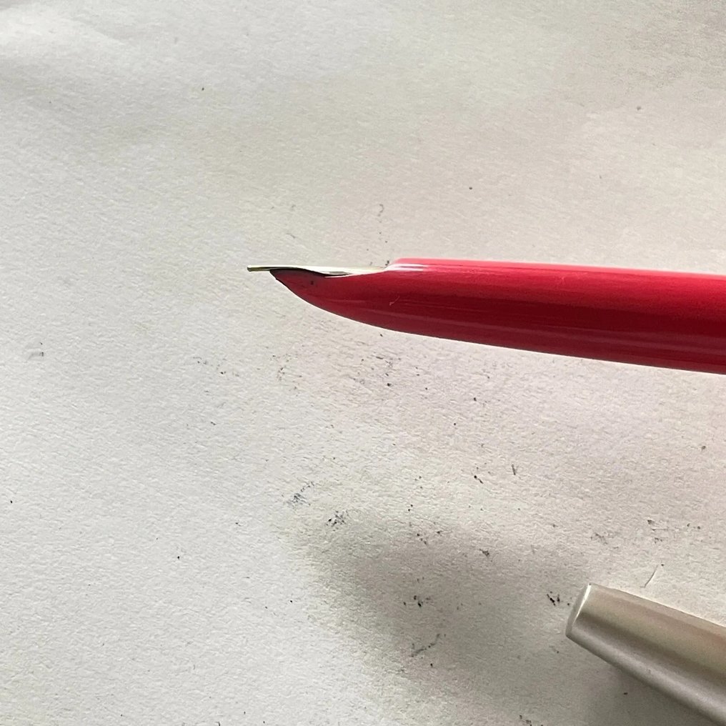 Pilot - Lady Flower Pattern - Zonder minimumprijs - Vulpen #4.3