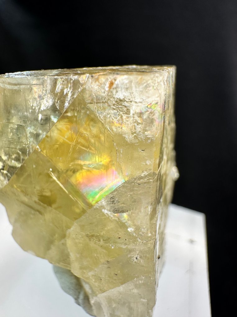 The Rainbow in the Cube - FLUORITE LEMON with Ghosts and Iridescence Crystal - Height: 35 mm - Width: 29 mm- 48 g - (1) #1.0