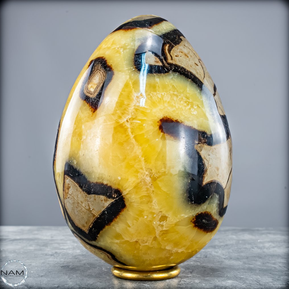 Naturligt, udtryksfuldt Septarian-æg min fascinerende musterung- 2584.66 g #3.2
