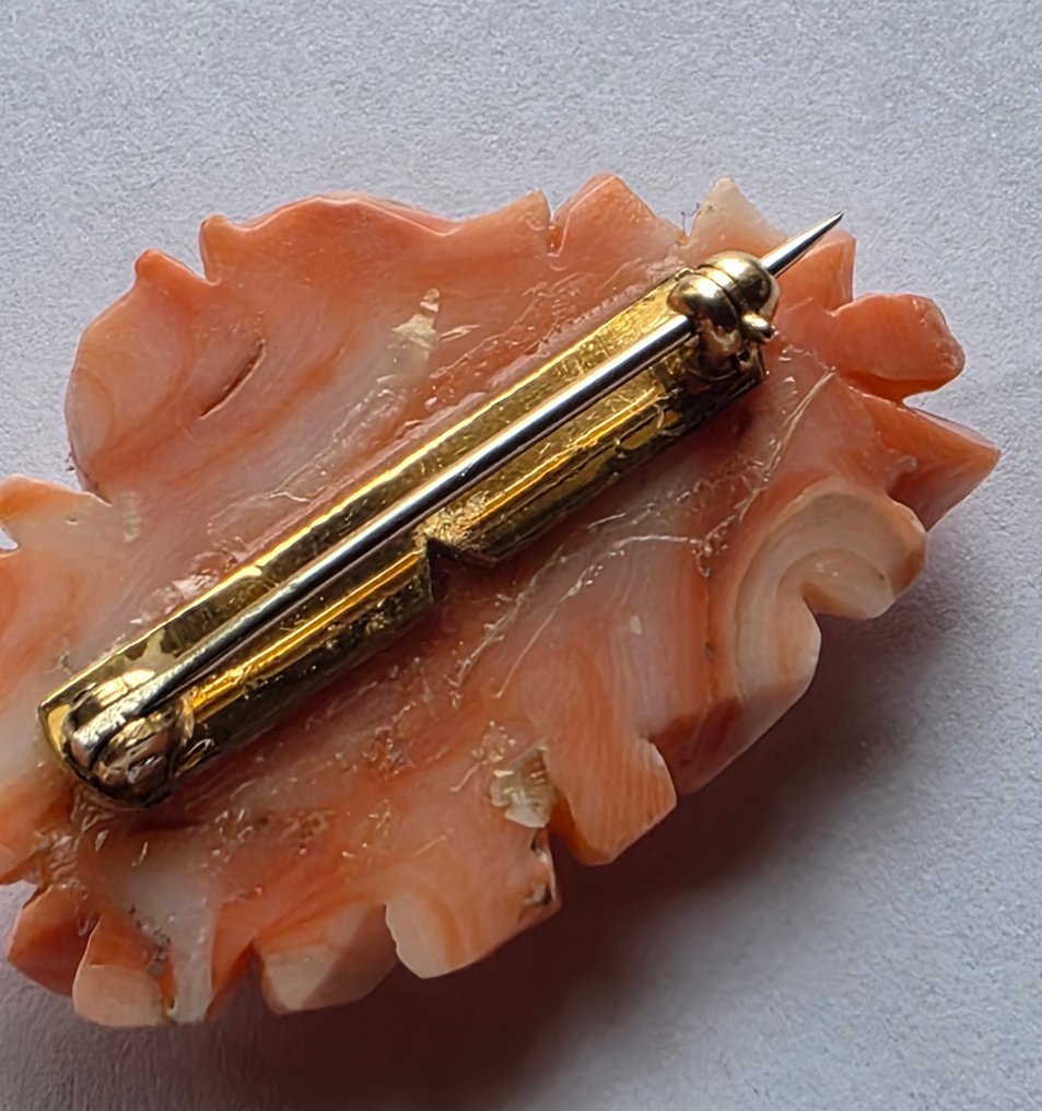 Broche - 15 carats Or jaune Corail #2.1