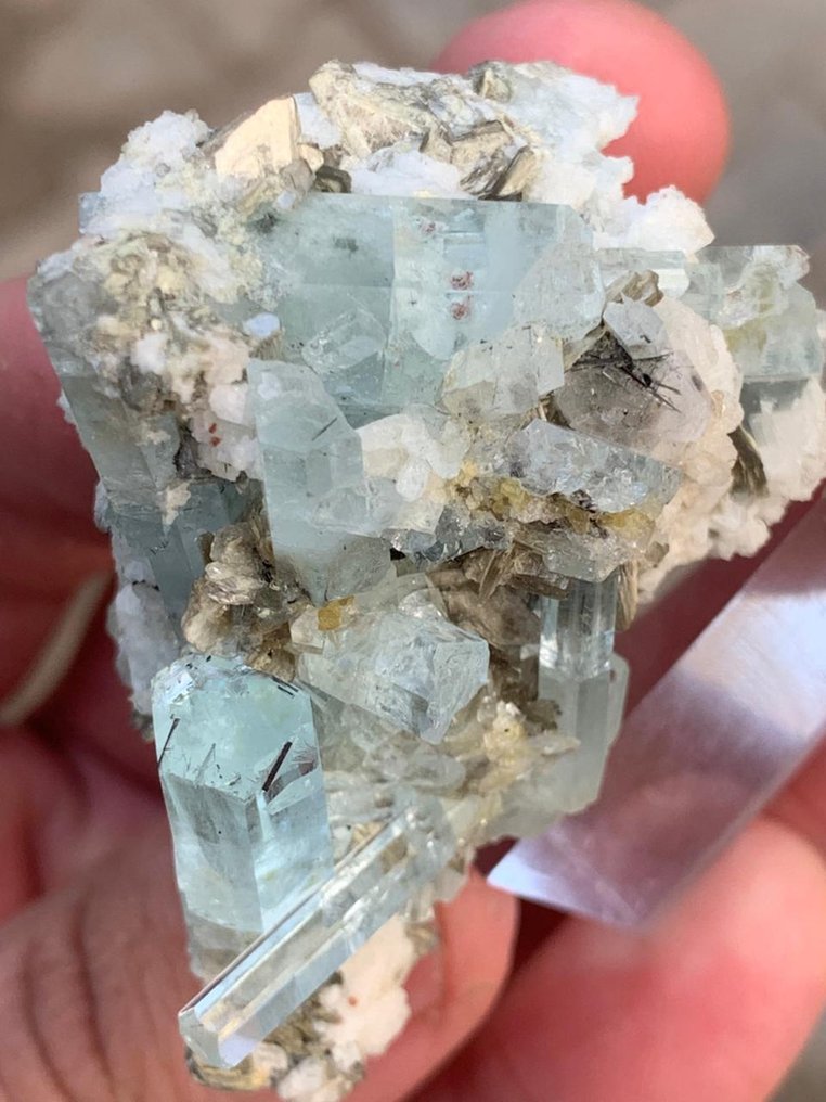 NO~ Riserva acquamarina blu con apatite e granato, campione combinato. Esemplare - Altezza: 4.2 cm - Larghezza: 5.5 cm- 50 g - (1) #2.1