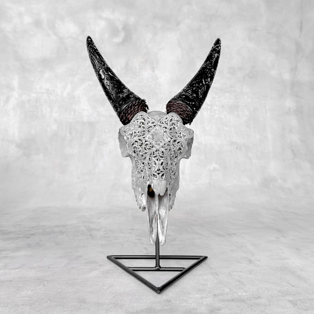 Χωρίς ελάχιστη τιμή - Γκρίζο σκαλιστό κρανίο κατσίκας με σκαλιστά κέρατα - Παραδοσιακό μοτίβο Λαξεμένο κρανίο - Capra hircus - 37 cm - 22 cm - 17 cm- Είδη που δεν ανήκουν στο CITES - (1) #2.1