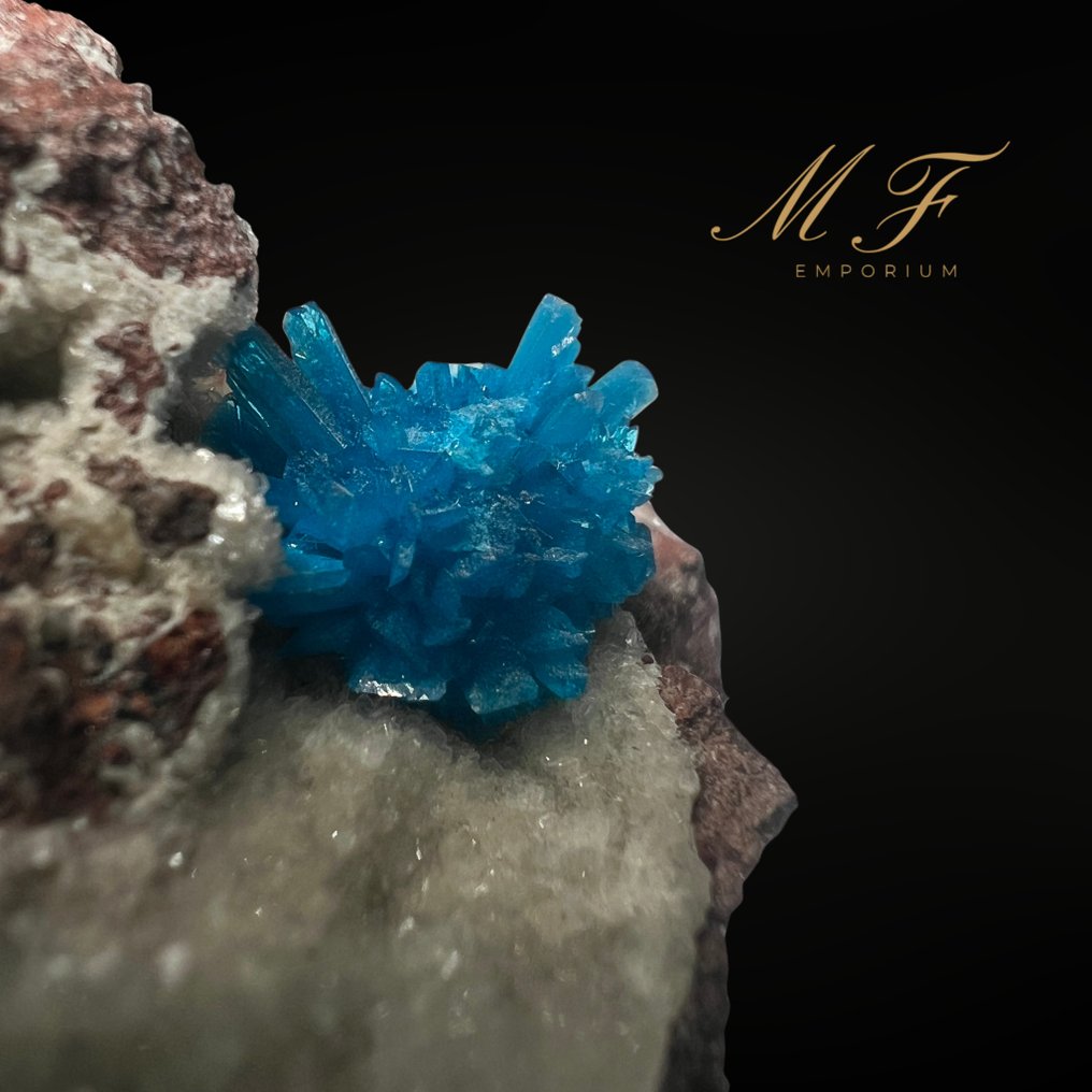 Εξαιρετικό δείγμα Cavansite. Δείγμα - Ύψος: 40 mm - Πλάτος: 60 mm- 120 g - (1) #1.0