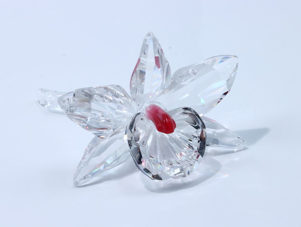 小雕像 - Swarovski - Set diverse stukjes (Unboxed)  (10) - 水晶 #4.3