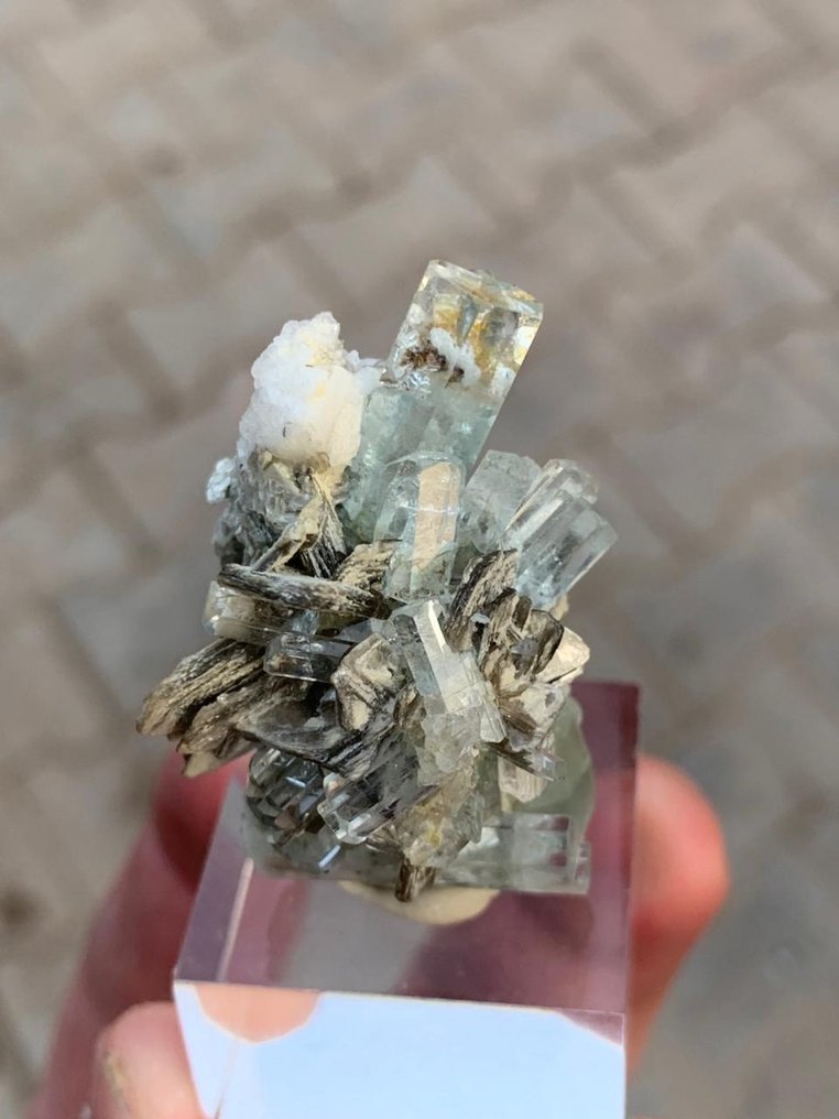 不~预订海蓝宝石配伴拉长石和云母组合标本 標本 - 高度: 4.4 cm - 闊度: 2.5 cm- 23 g - (1) #4.3