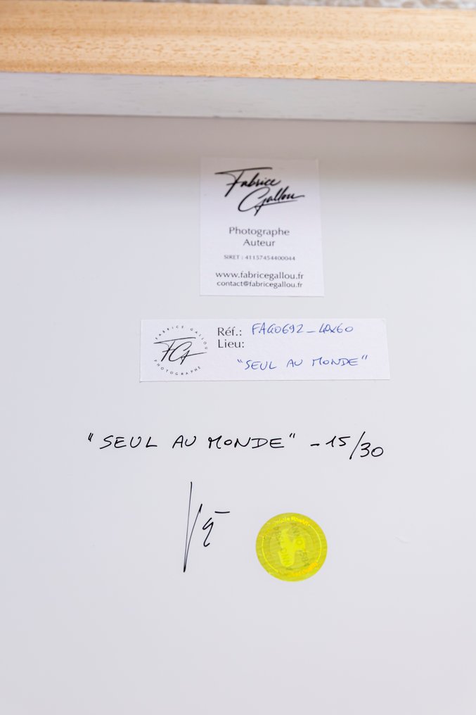 Fabrice Gallou - SEUL AU MONDE #2.1