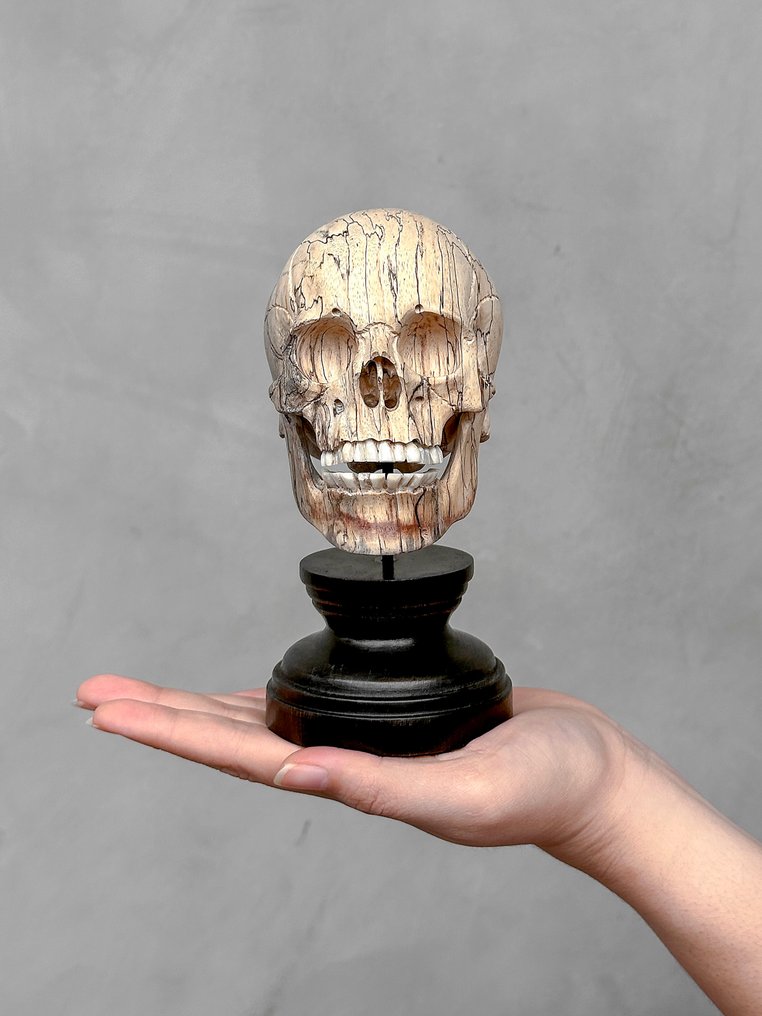 Udskæring, NO RESERVE PRICE - Stunning Wooden Human Skull With A Beautiful Grain on a custom stand - 16 cm - Tamarindus - 2025 #2.1