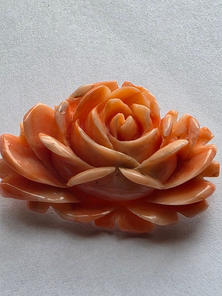 Broche - 15 carats Or jaune Corail #1.0