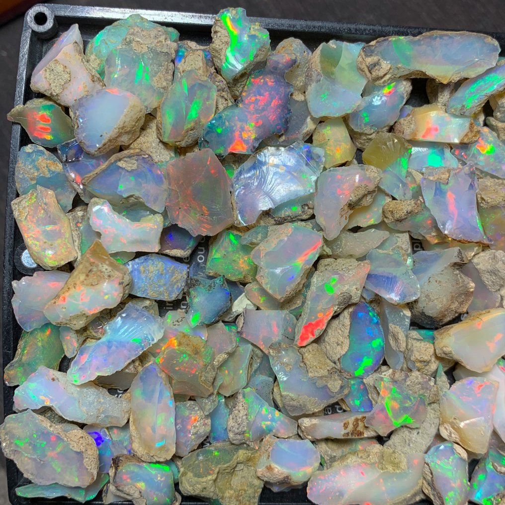 Rough ethiopian opal lot- 230 carats video Rough - Height: 12 mm - Width: 10 mm- 46 g #4.3