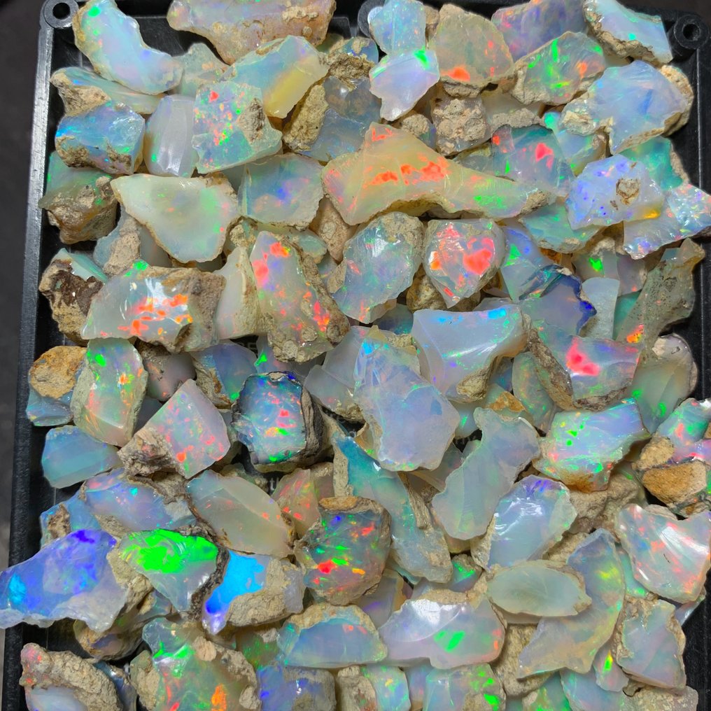Rough ethiopian opal lot- 230 carats video Rough - Height: 12 mm - Width: 10 mm- 46 g #4.3