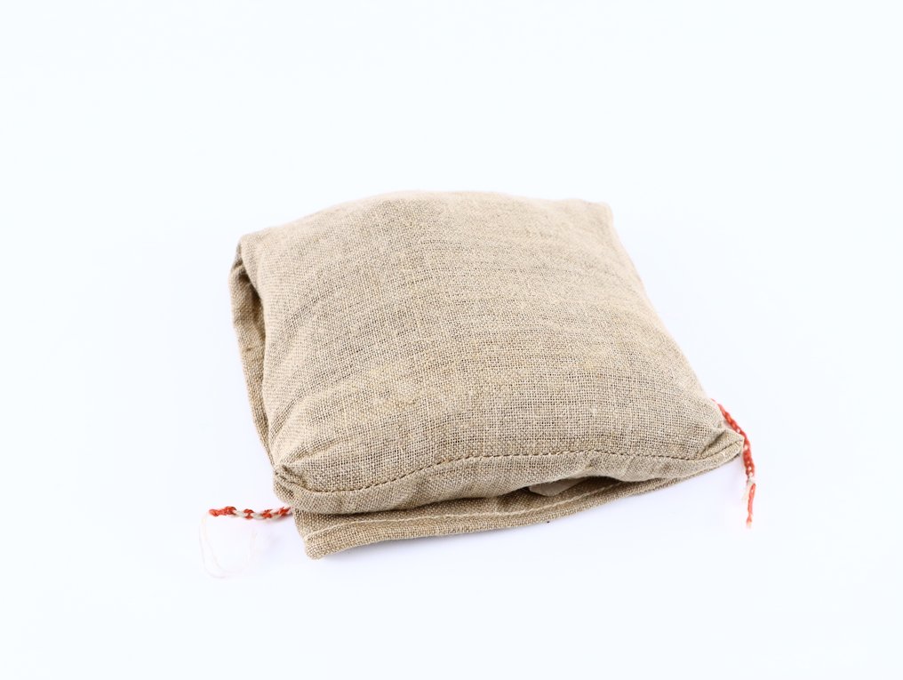 Nederland. 500 stuivers 1979 in gesloten zak (Zonder minimumprijs) #2.1