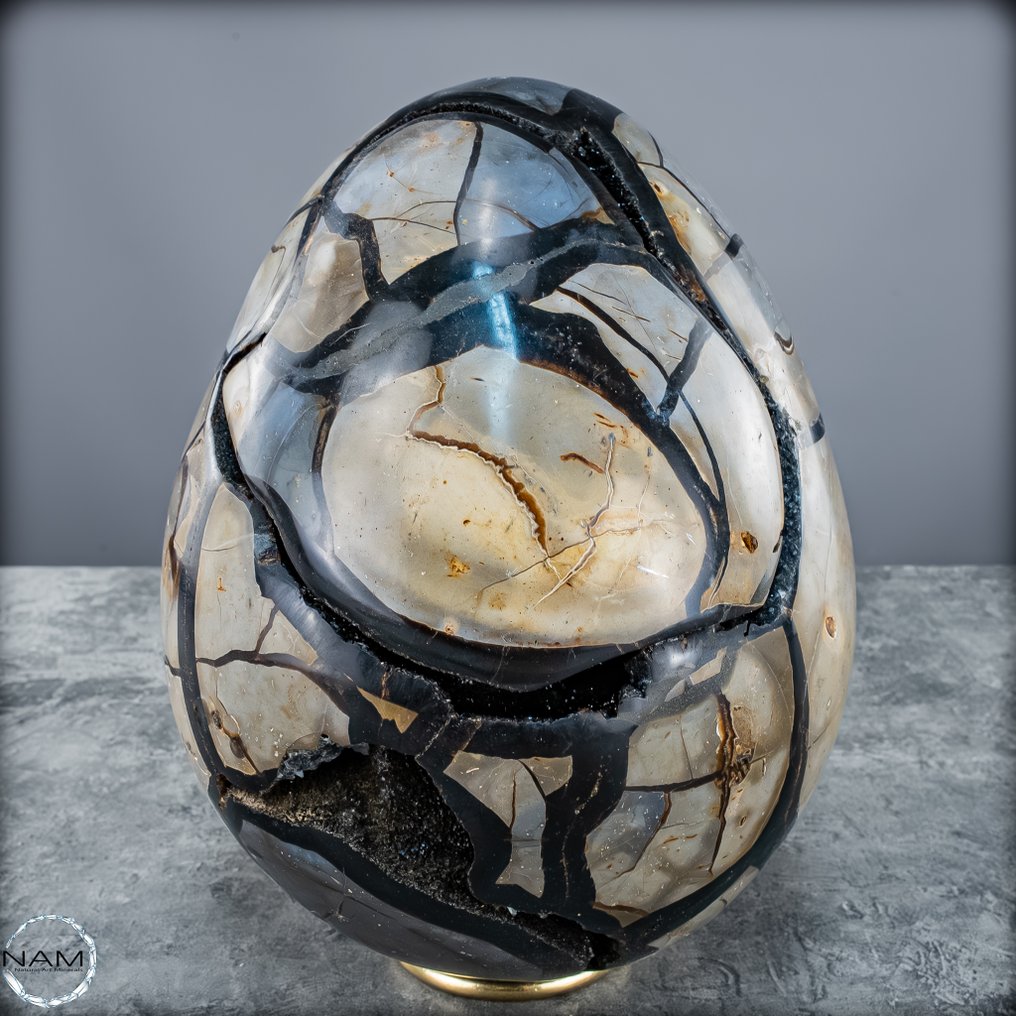 Septarien-Ei mit offener Druse – Fossiles Naturkunstwerk in edler Freiform Von Höchster Qualität- 7020.17 g #1.0