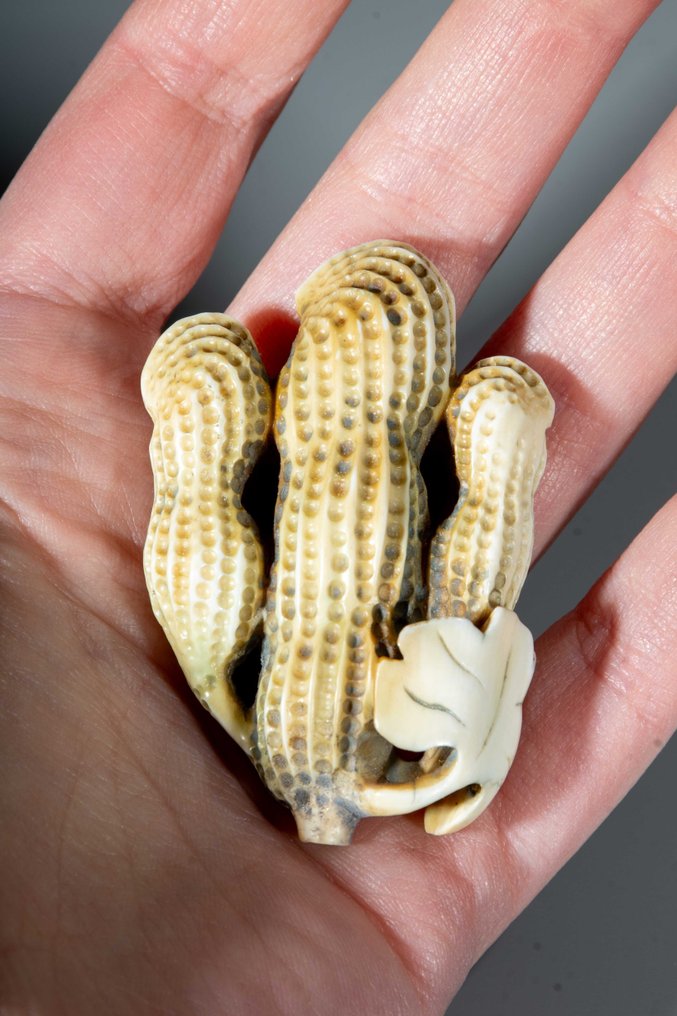 由三串花生组成的天然根付 - 象牙 - 日本 - 明治时期（19世纪后期） #4.3