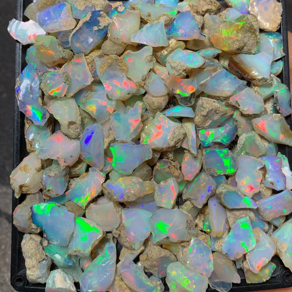 Rough ethiopian opal lot- 230 carats video Rough - Height: 12 mm - Width: 10 mm- 46 g #2.1