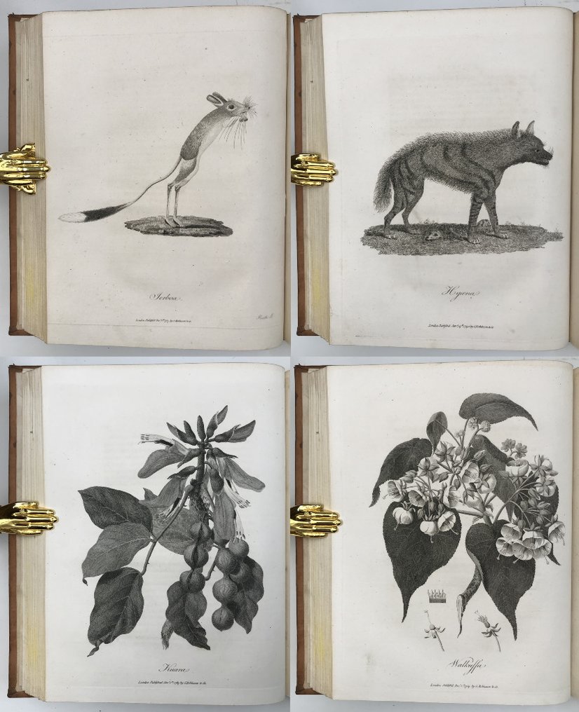 James Bruce of Kinnaird, Esq. - Travels to Discover the Source of the Nile, In the Years 1768, 1769, 1770, 1771, 1772, and 1773. In - 1790 #2.1