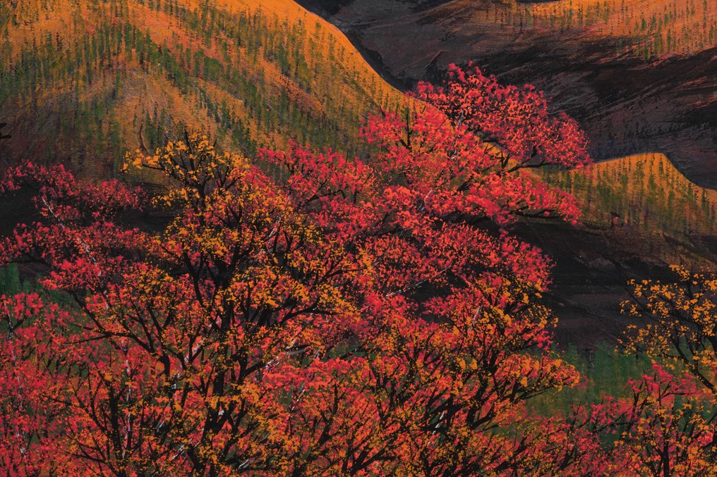 Byôbu 屏风 (折叠屏风) - 紙, 壓克力顏料、紙板、絲綢 - Watanabe Bunpei 渡辺文平 (1925–1998) - 日本 - 昭和年代(1926-1989) #2.1