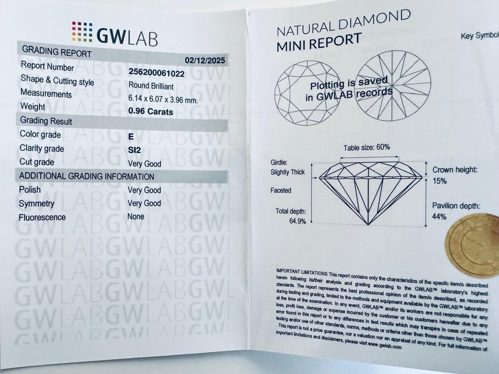 No reserve price - 1 pcs Diamond  (Natural)  - 0.96 ct - Round - E - SI2 - Gemewizard Gemological Laboratory (GWLab) #3.2