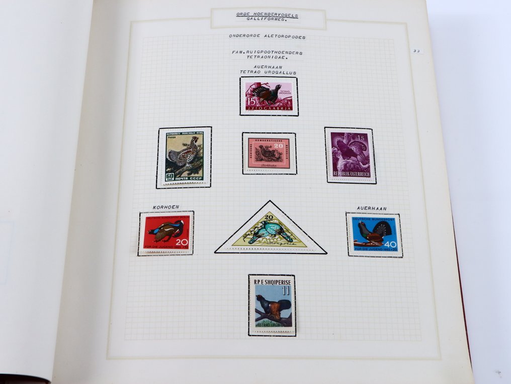 World - Collection of motif birds #1.0