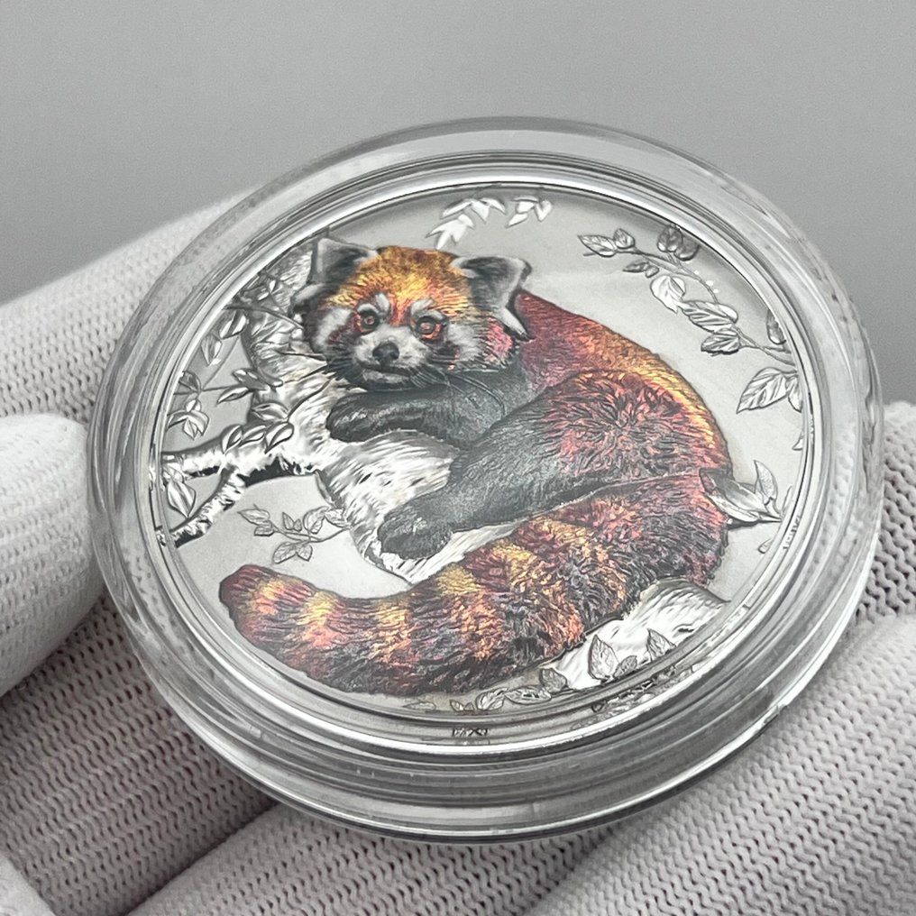 Niue. 5 Dollars 2024 – Red Panda – 2 oz Silver Coin – High Relief – .999 Fine Silver #2.1