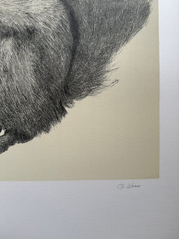 Scuola francese (XIX) - L'écureuil #3.2