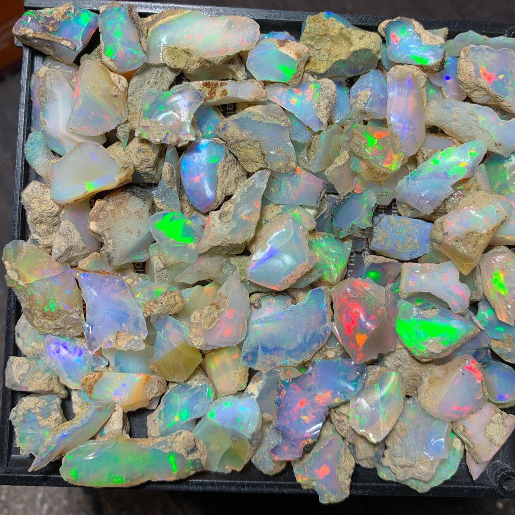 Rough ethiopian opal lot- 230 carats video Rough - Height: 12 mm - Width: 10 mm- 46 g #1.0
