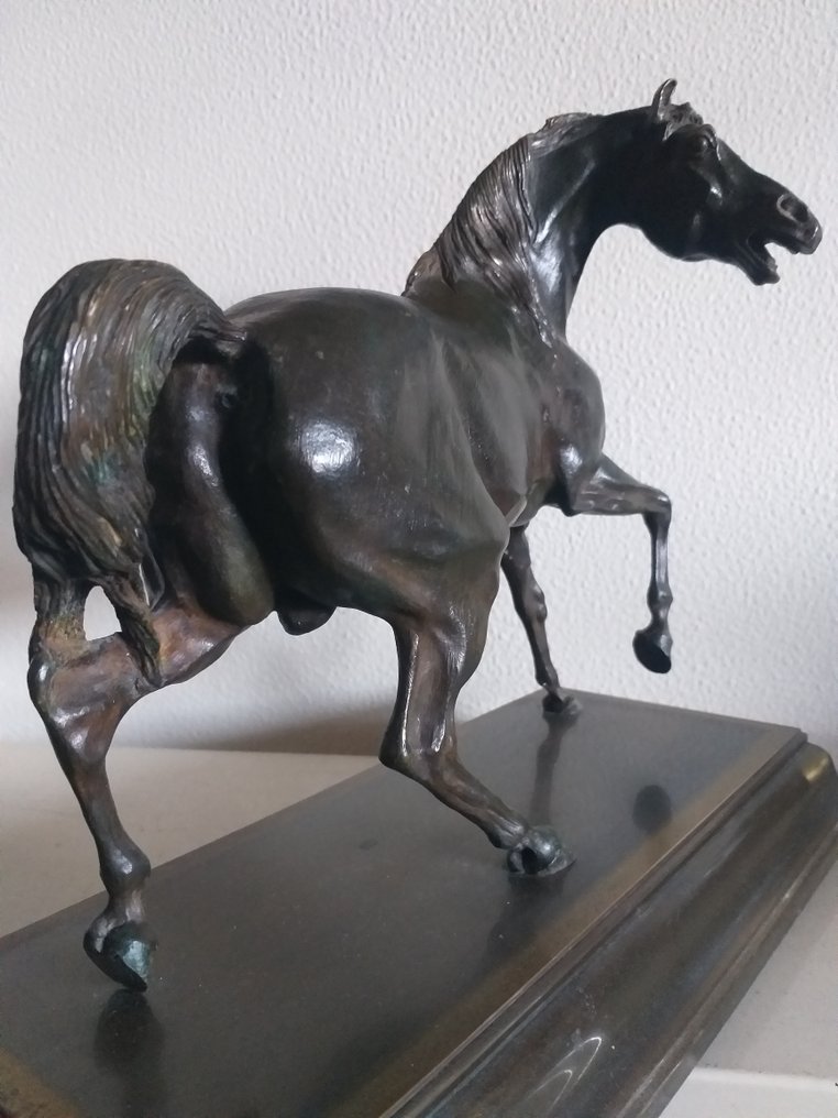 雕塑, El Caballo - 32 cm - 铜绿青铜 #1.0
