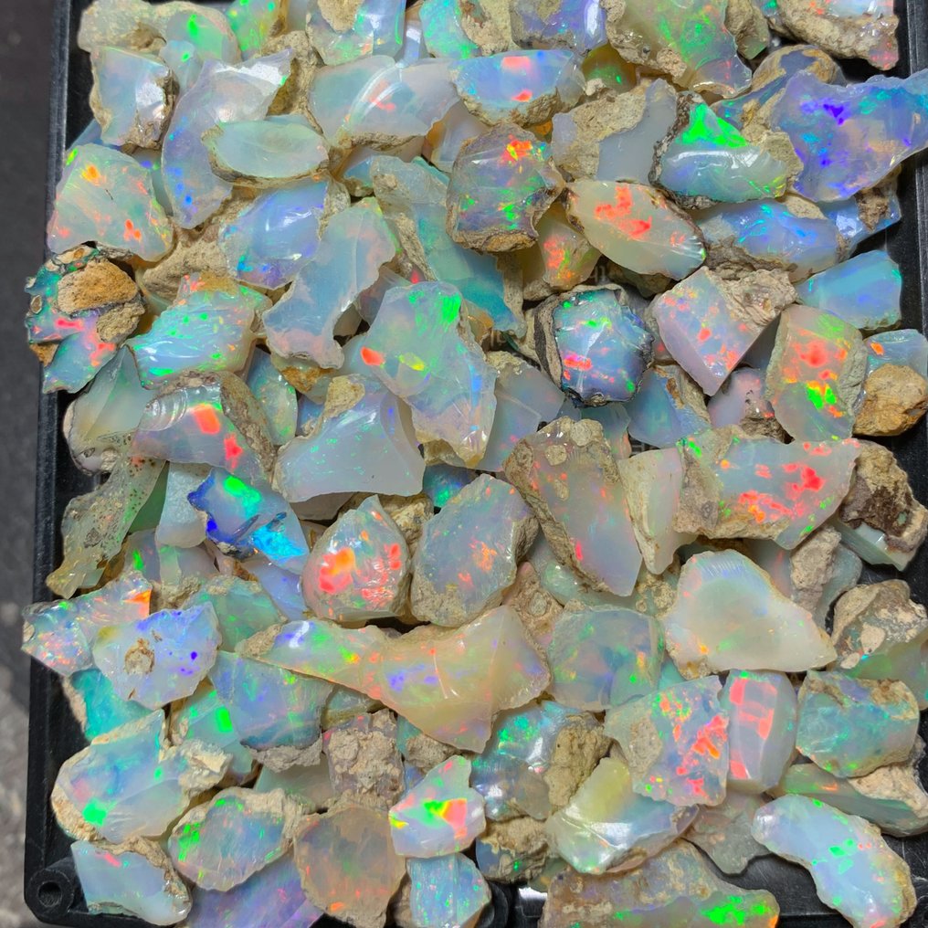 Rough ethiopian opal lot- 230 carats video Rough - Height: 12 mm - Width: 10 mm- 46 g #1.0