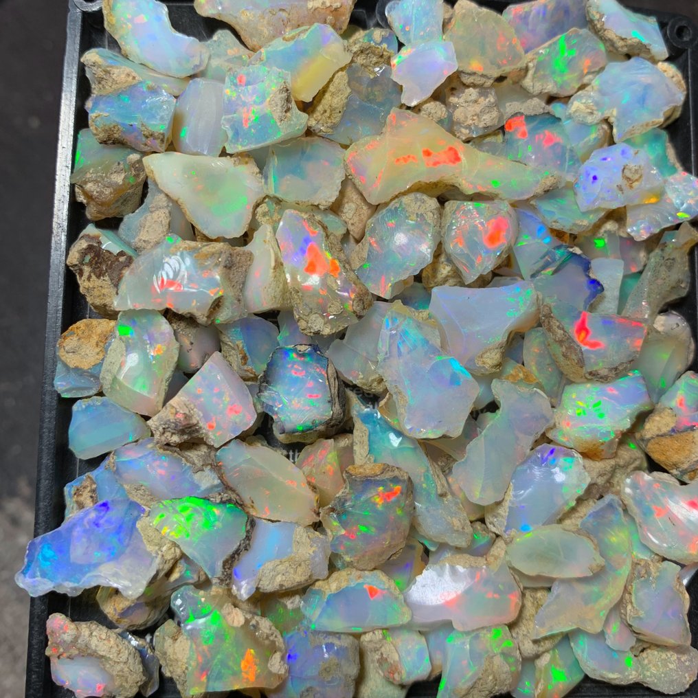 Rough ethiopian opal lot- 230 carats video Rough - Height: 12 mm - Width: 10 mm- 46 g #3.2