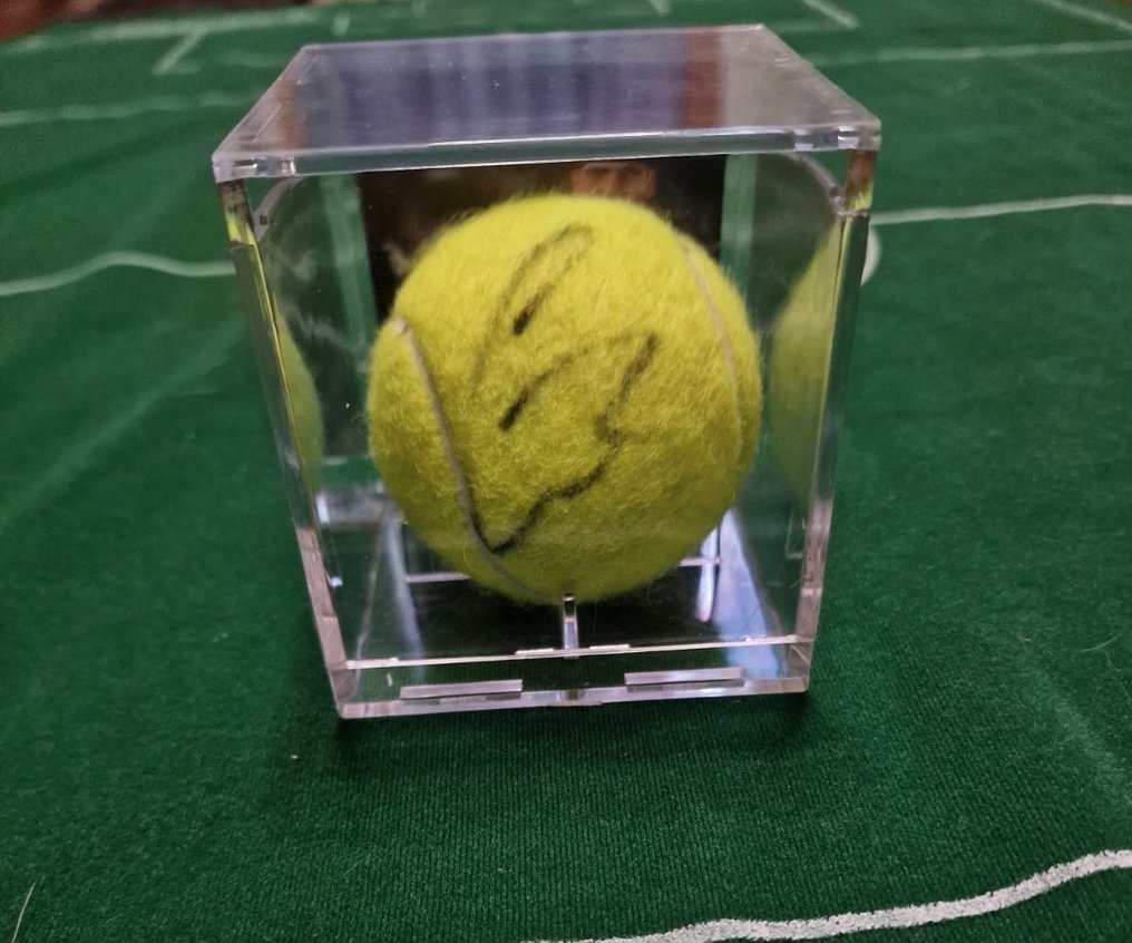 網球 - Carlos Alcaraz - 2025 - 網球 #1.0