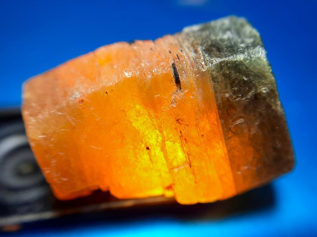 24,2 cts « RARE » Saphir bicolore naturel non traité Rugueuse- 4.84 g #1.0