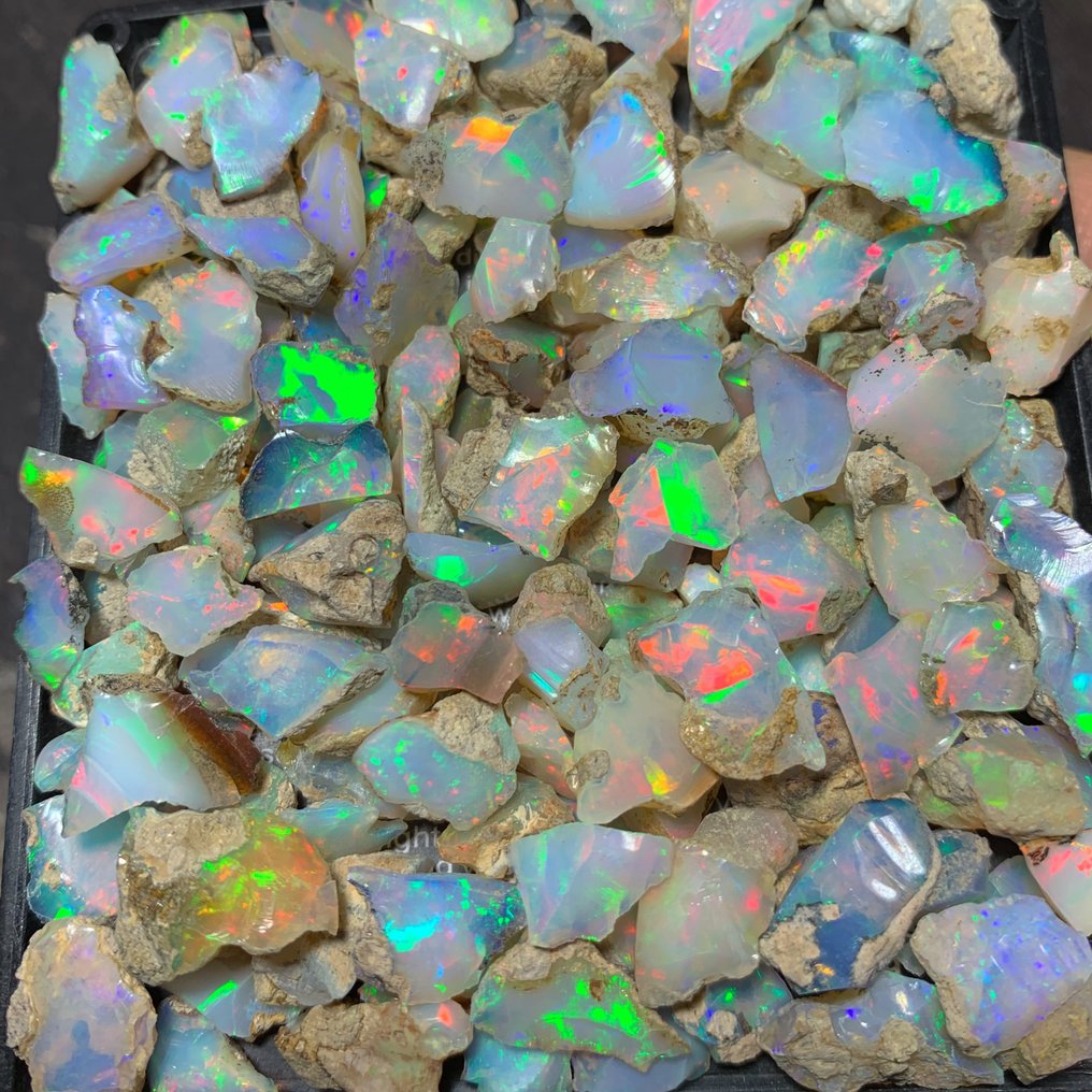Rough ethiopian opal lot- 230 carats video Rough - Height: 12 mm - Width: 10 mm- 46 g #1.0