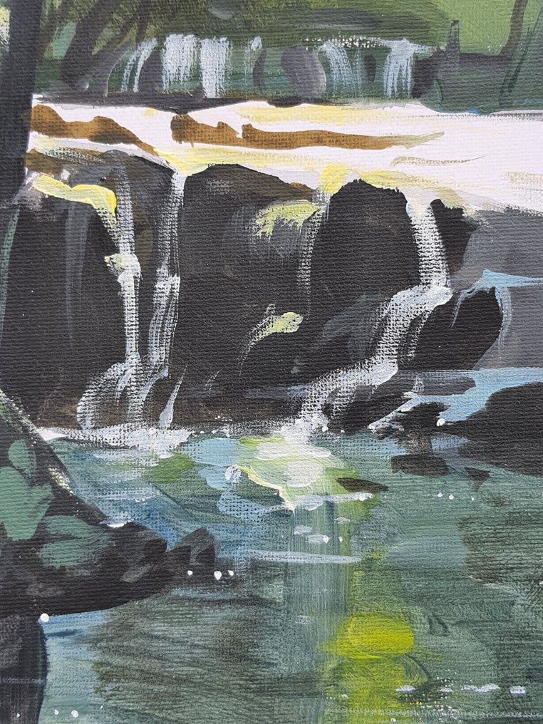 Michele Telari - Cascate nel bosco #1.0