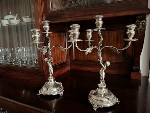 枝状大烛台 (2) - 银 #3.2
