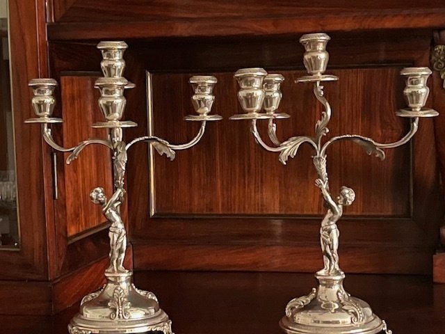 枝状大烛台 (2) - 银 #2.1