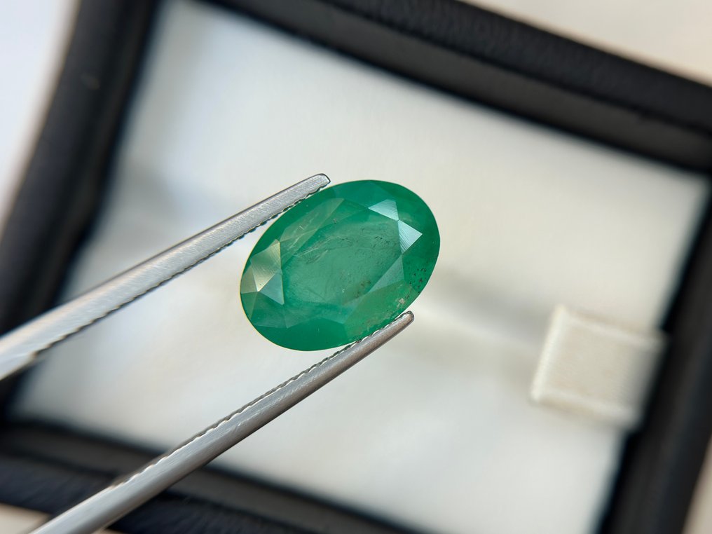 沒有保留價 - 1 pcs  綠色 祖母綠  - 5.98 ct - Lotus Gemology - 浓郁绿色祖母绿 #1.0