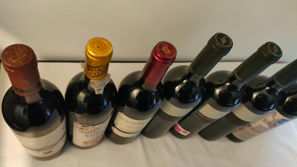 Mixed Lot - Ριόχα, Μπαιράντα, Ρίμπερα ντελ Ντουέρο - 7 Bottles (0.75L) #1.0
