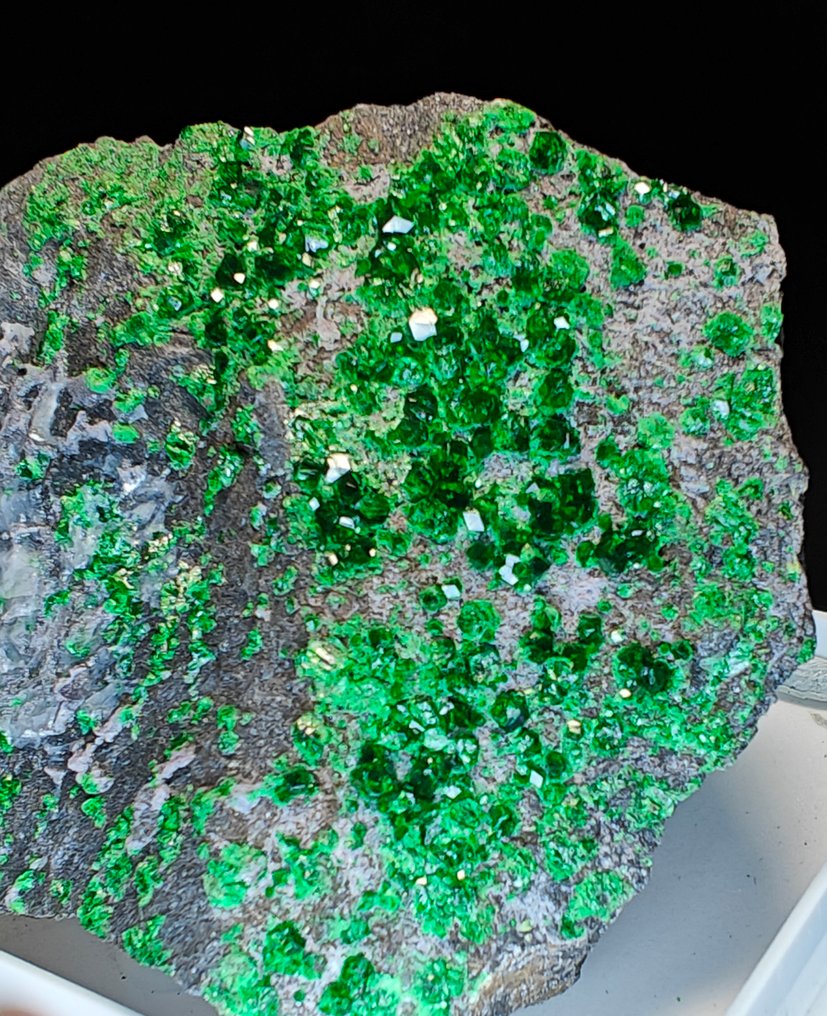 Uvarovite από τη Ρωσία, τοποθεσία τύπου - Ύψος: 7 cm - Πλάτος: 7 cm- 205 g #1.0