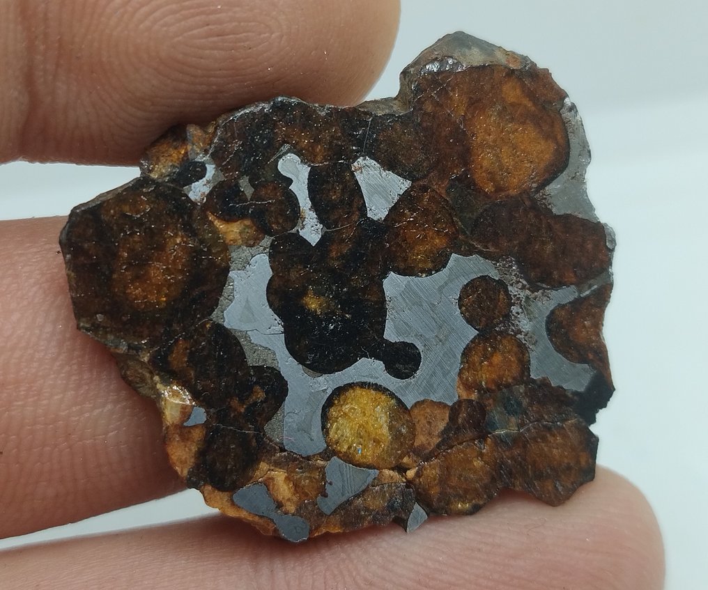 Sericho Pallasite Meteorite Slice- 9.7 g #4.3