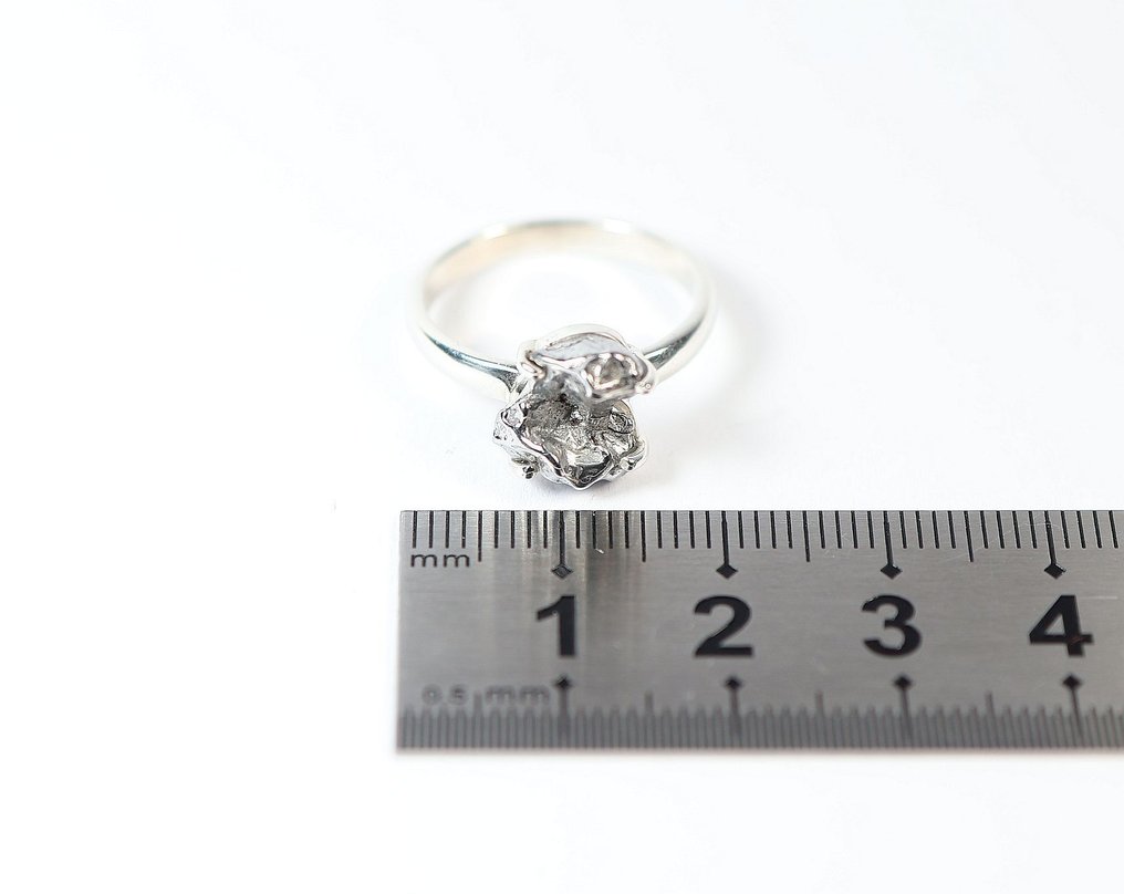 坎波德尔谢洛陨石环 / 新 925纯银 - 3.04 g - (1) #4.3